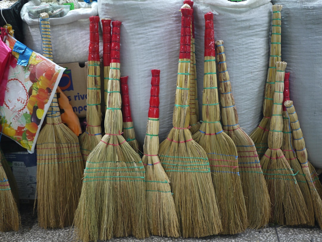 services-01 many-brooms-with-red-handles-stand-together-5mnc8lgrfoq